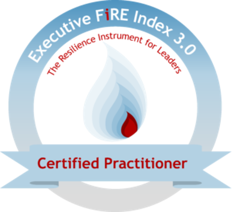 Executive FiRE Index 3.0 Certified Practitioner